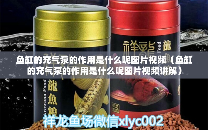 魚缸的充氣泵的作用是什么呢圖片視頻（魚缸的充氣泵的作用是什么呢圖片視頻講解）