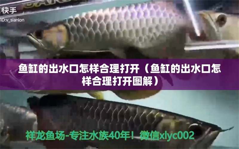 魚缸的出水口怎樣合理打開（魚缸的出水口怎樣合理打開圖解）