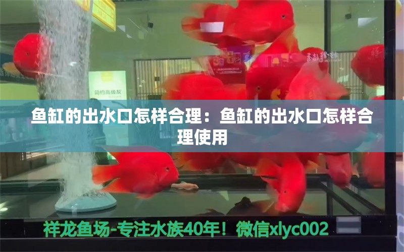 魚缸的出水口怎樣合理：魚缸的出水口怎樣合理使用