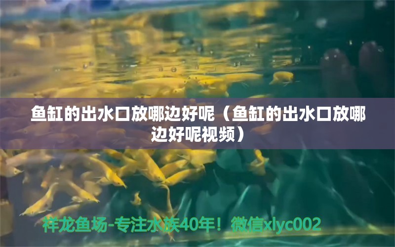 魚缸的出水口放哪邊好呢（魚缸的出水口放哪邊好呢視頻）