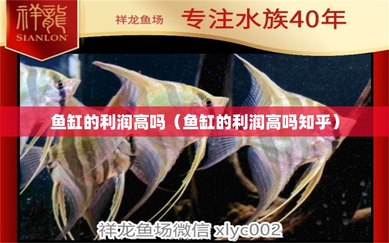 魚缸的利潤高嗎（魚缸的利潤高嗎知乎）