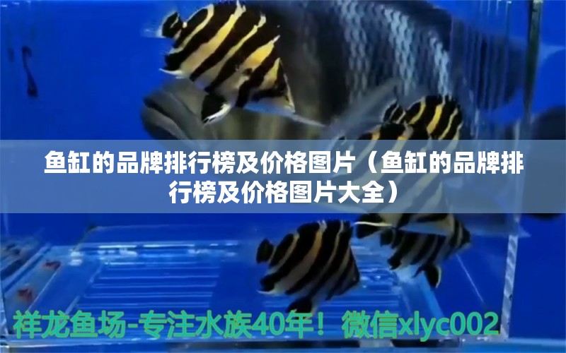 魚缸的品牌排行榜及價格圖片（魚缸的品牌排行榜及價格圖片大全） 其他品牌魚缸