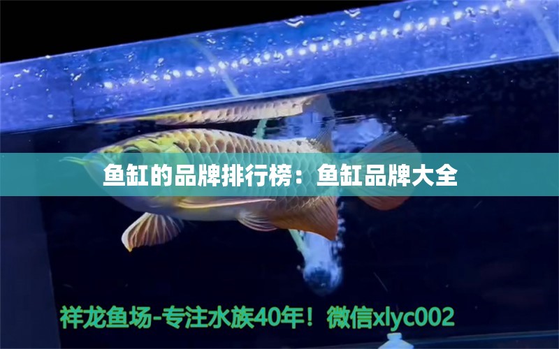 魚缸的品牌排行榜：魚缸品牌大全