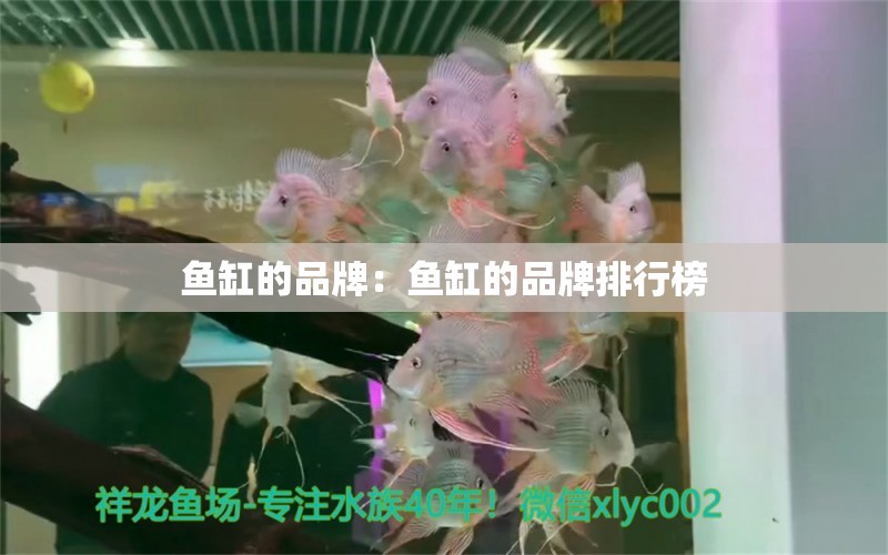 魚缸的品牌：魚缸的品牌排行榜