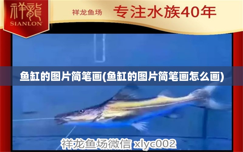 魚缸的圖片簡筆畫(魚缸的圖片簡筆畫怎么畫) 海象魚