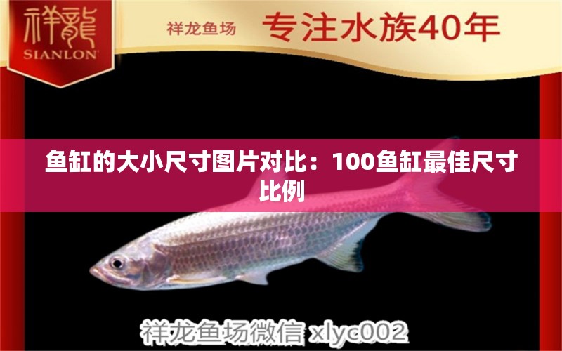 魚(yú)缸的大小尺寸圖片對(duì)比：100魚(yú)缸最佳尺寸比例