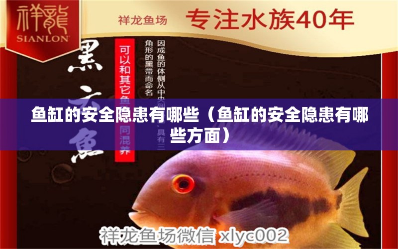 魚缸的安全隱患有哪些（魚缸的安全隱患有哪些方面）