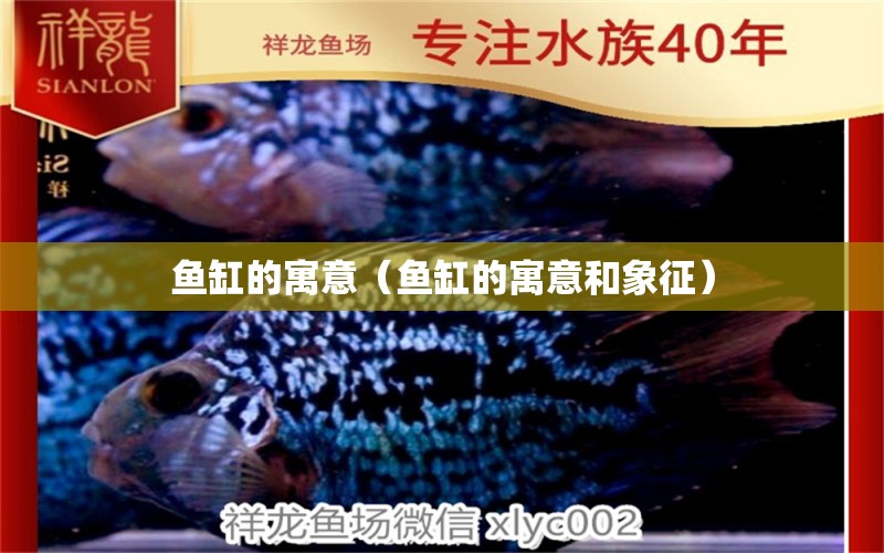 魚缸的寓意（魚缸的寓意和象征） 祥龍水族醫(yī)院