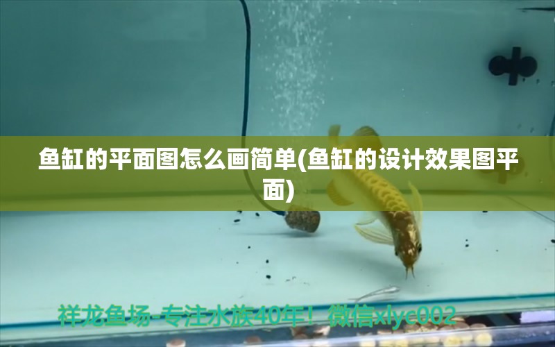 魚缸的平面圖怎么畫簡單(魚缸的設(shè)計效果圖平面) 巨骨舌魚