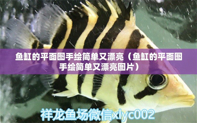 魚(yú)缸的平面圖手繪簡(jiǎn)單又漂亮（魚(yú)缸的平面圖手繪簡(jiǎn)單又漂亮圖片） 祥龍水族醫(yī)院