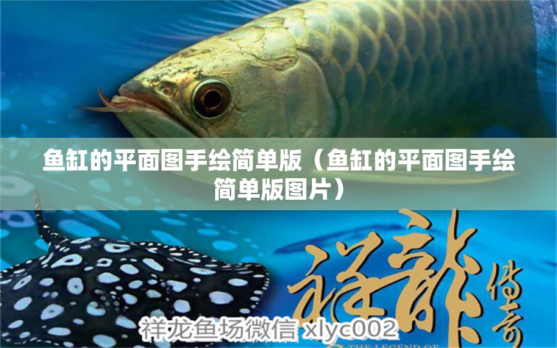 魚缸的平面圖手繪簡單版（魚缸的平面圖手繪簡單版圖片） 祥龍水族醫(yī)院