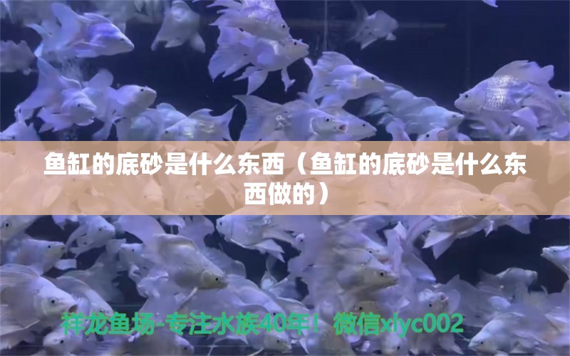 魚缸的底砂是什么東西（魚缸的底砂是什么東西做的） 銀龍魚苗