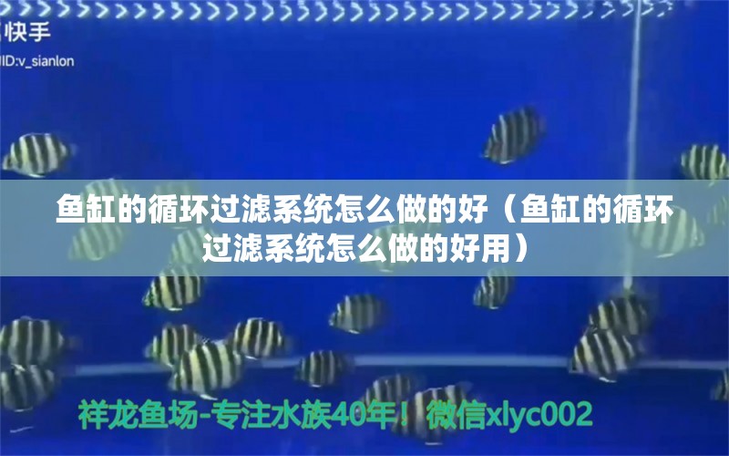 魚缸的循環(huán)過濾系統(tǒng)怎么做的好（魚缸的循環(huán)過濾系統(tǒng)怎么做的好用）