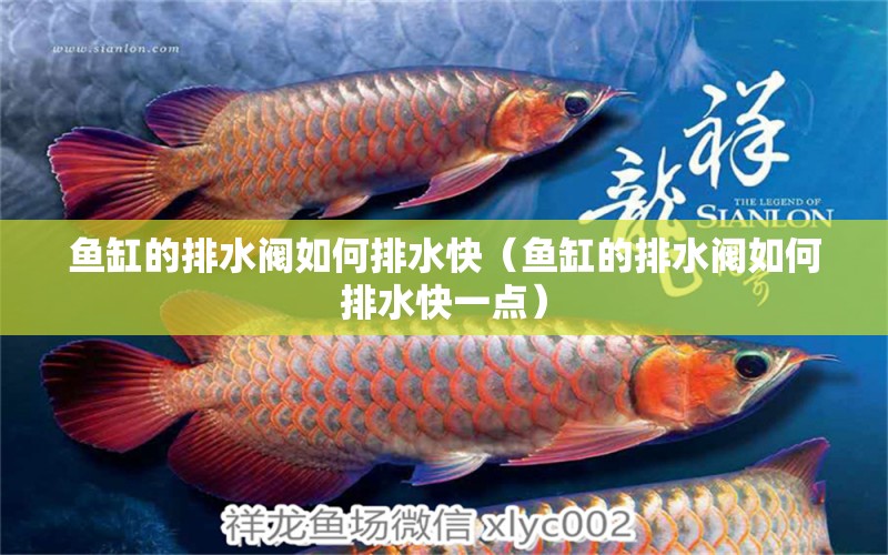 魚(yú)缸的排水閥如何排水快（魚(yú)缸的排水閥如何排水快一點(diǎn)）