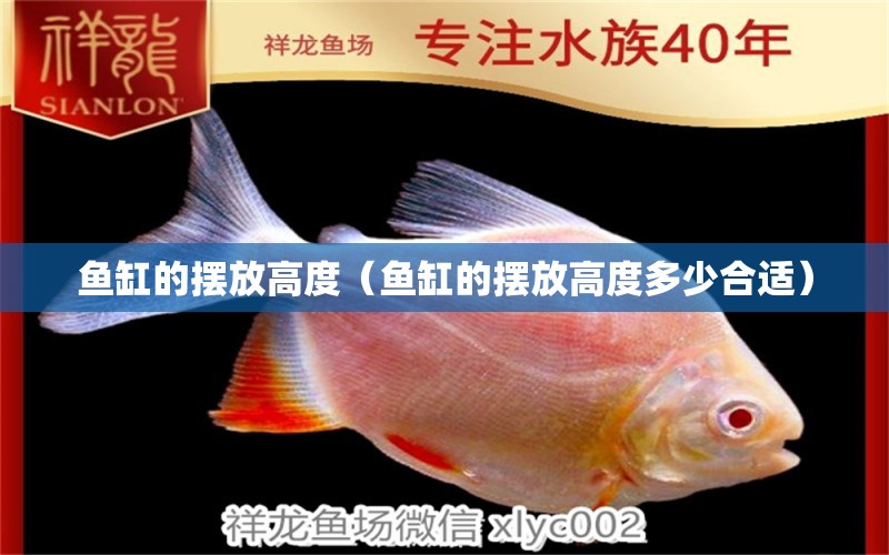 魚缸的擺放高度（魚缸的擺放高度多少合適） 觀賞魚市場（混養(yǎng)魚）