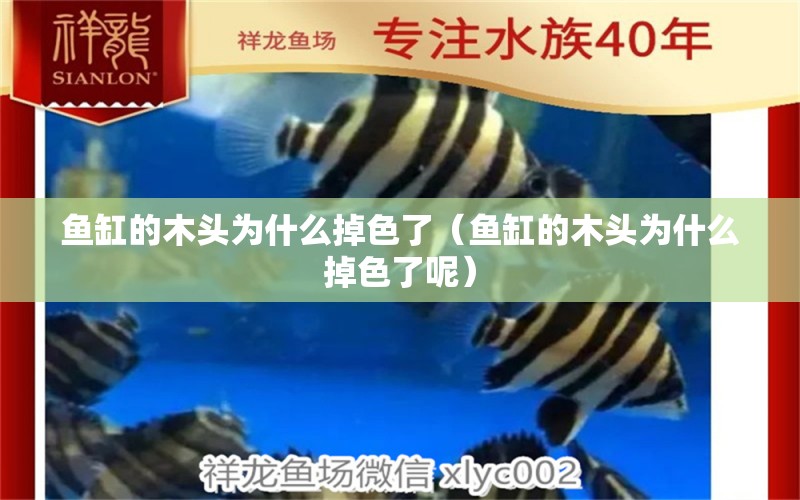 魚缸的木頭為什么掉色了（魚缸的木頭為什么掉色了呢）