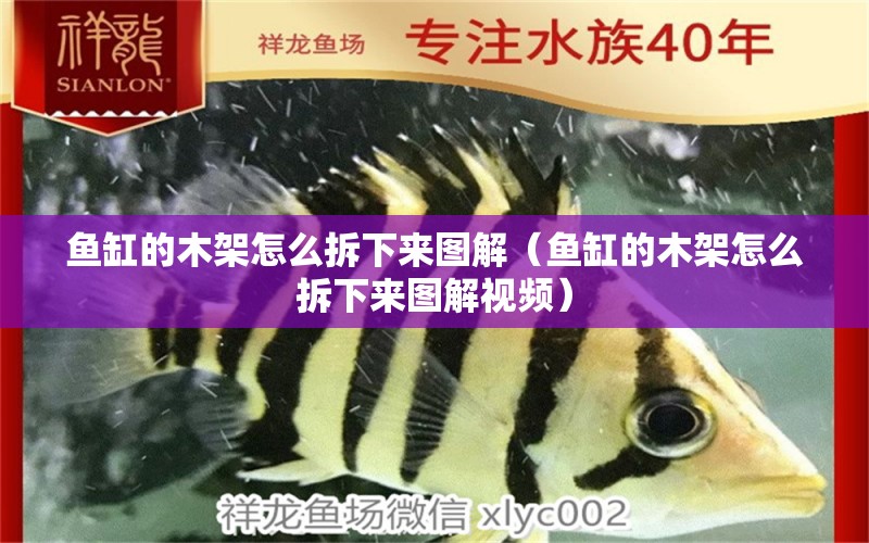 魚缸的木架怎么拆下來圖解（魚缸的木架怎么拆下來圖解視頻）