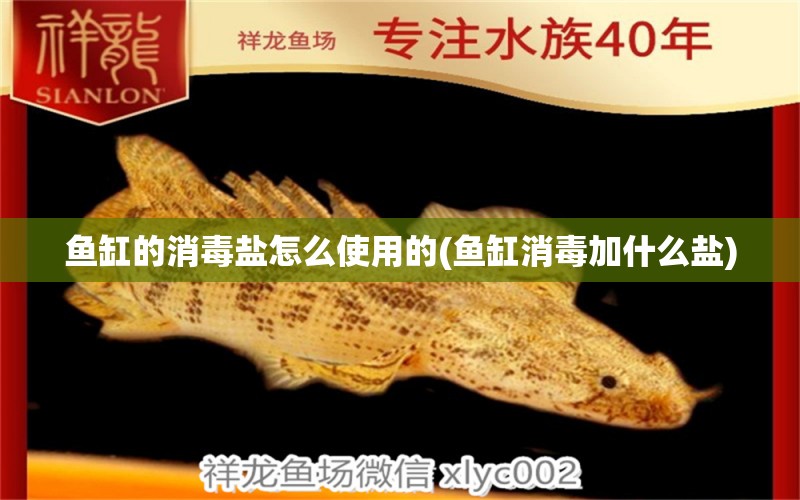 魚缸的消毒鹽怎么使用的(魚缸消毒加什么鹽) 財神鸚鵡魚