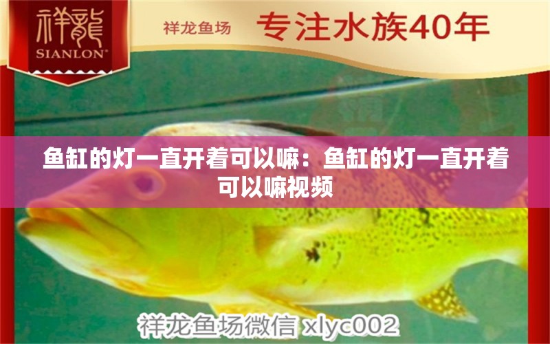 魚缸的燈一直開著可以嘛：魚缸的燈一直開著可以嘛視頻