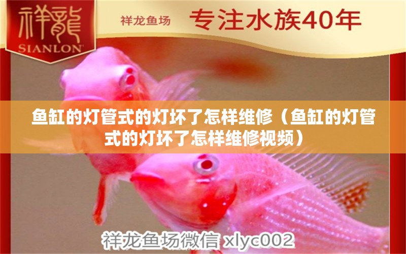 魚缸的燈管式的燈壞了怎樣維修（魚缸的燈管式的燈壞了怎樣維修視頻）