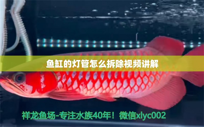 魚(yú)缸的燈管怎么拆除視頻講解