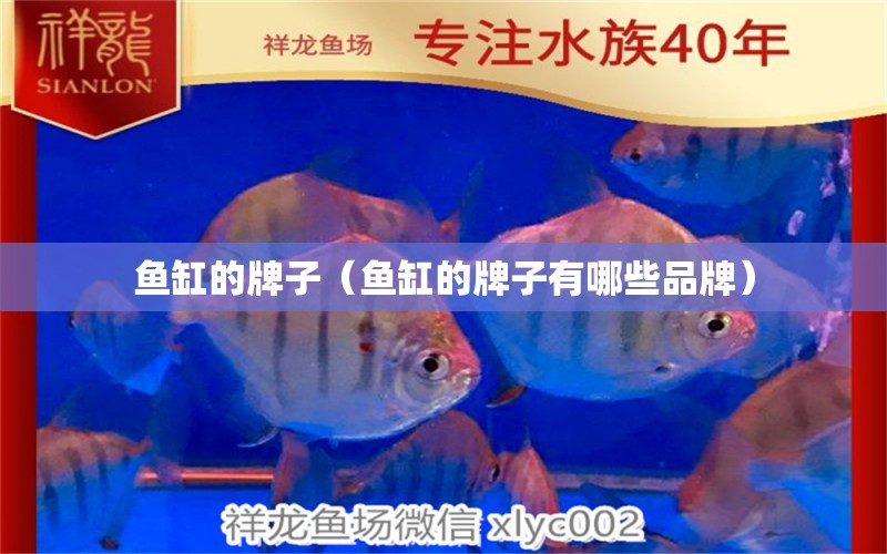 魚缸的牌子（魚缸的牌子有哪些品牌）