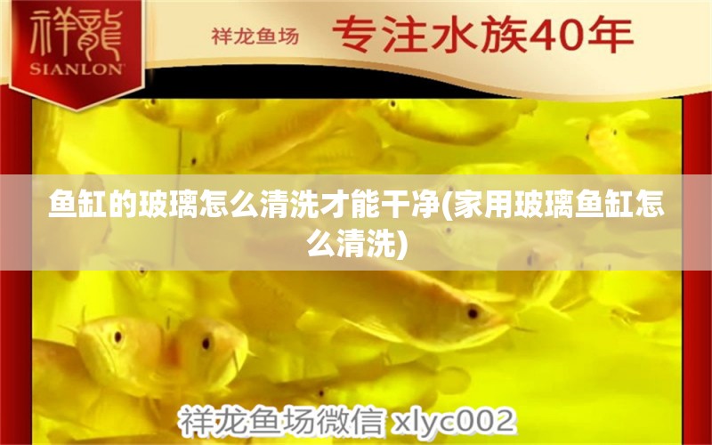 魚缸的玻璃怎么清洗才能干凈(家用玻璃魚缸怎么清洗) 水族世界