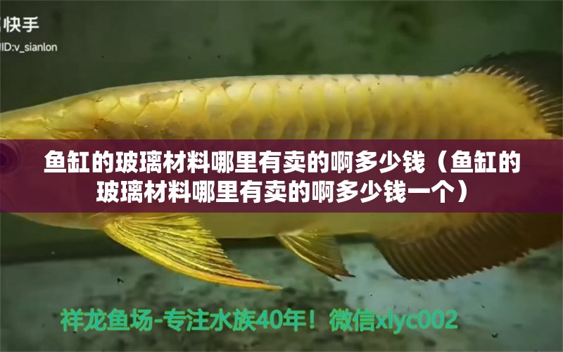 魚缸的玻璃材料哪里有賣的啊多少錢（魚缸的玻璃材料哪里有賣的啊多少錢一個） 觀賞魚市場（混養(yǎng)魚）