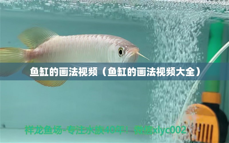 魚(yú)缸的畫(huà)法視頻（魚(yú)缸的畫(huà)法視頻大全） 印尼虎苗