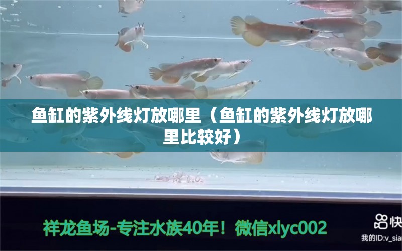 魚缸的紫外線燈放哪里（魚缸的紫外線燈放哪里比較好） 其他品牌魚缸