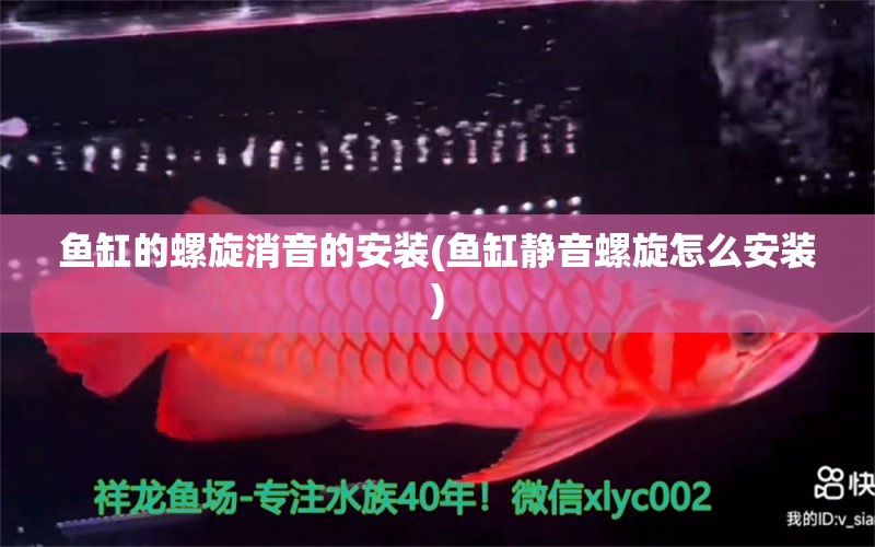 魚(yú)缸的螺旋消音的安裝(魚(yú)缸靜音螺旋怎么安裝) 飛鳳魚(yú)苗