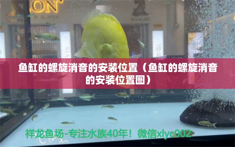 魚缸的螺旋消音的安裝位置（魚缸的螺旋消音的安裝位置圖） 觀賞魚市場（混養(yǎng)魚）