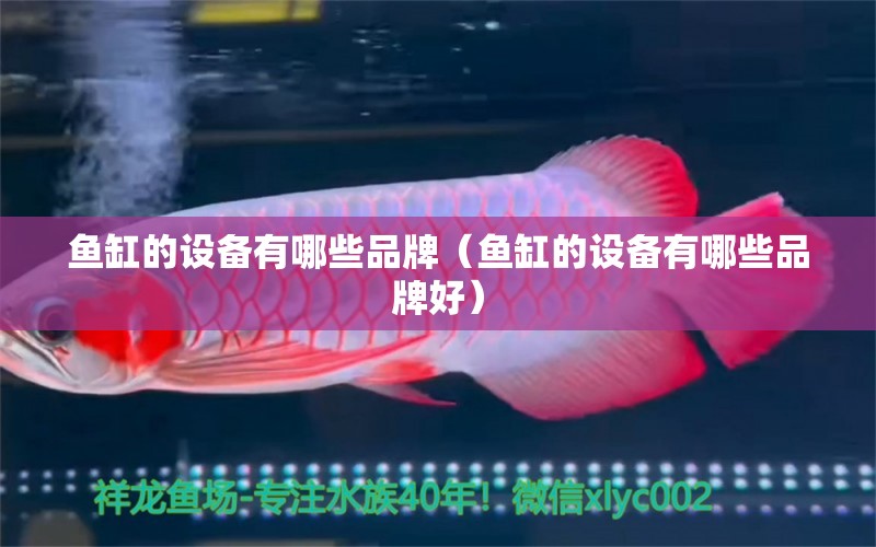 魚缸的設(shè)備有哪些品牌（魚缸的設(shè)備有哪些品牌好）