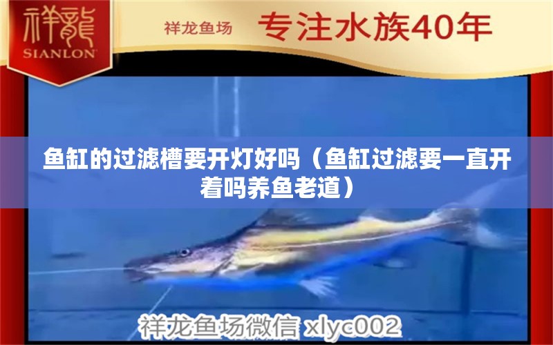 魚缸的過濾槽要開燈好嗎（魚缸過濾要一直開著嗎養(yǎng)魚老道） 廣州觀賞魚批發(fā)市場