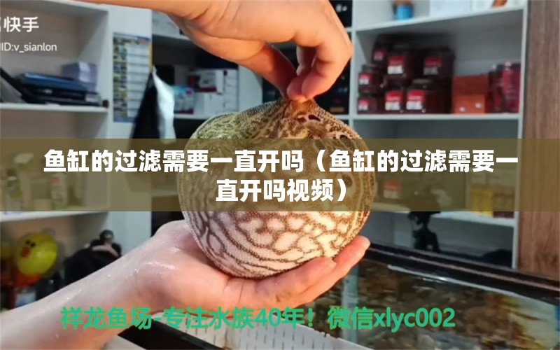 魚缸的過濾需要一直開嗎（魚缸的過濾需要一直開嗎視頻）