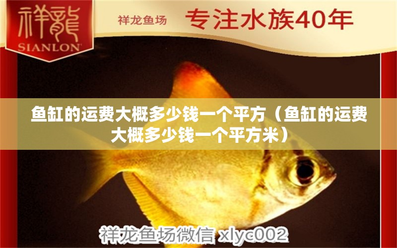 魚缸的運(yùn)費(fèi)大概多少錢一個平方（魚缸的運(yùn)費(fèi)大概多少錢一個平方米）