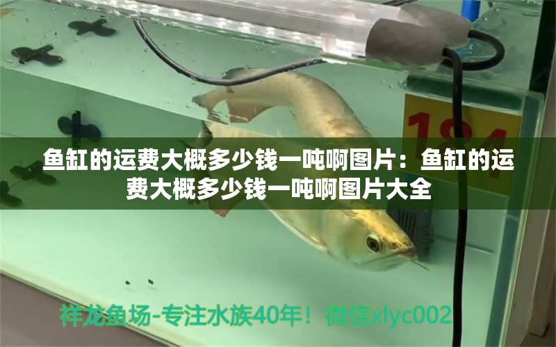 魚缸的運(yùn)費(fèi)大概多少錢一噸啊圖片：魚缸的運(yùn)費(fèi)大概多少錢一噸啊圖片大全