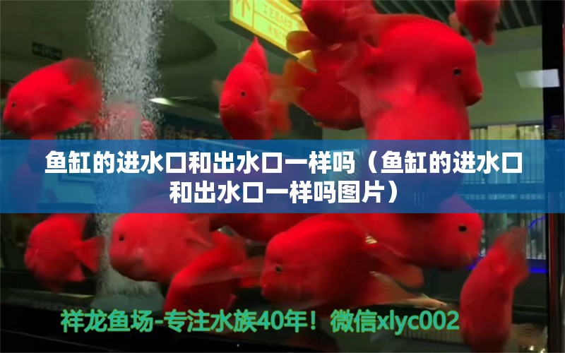 魚缸的進(jìn)水口和出水口一樣嗎（魚缸的進(jìn)水口和出水口一樣嗎圖片）