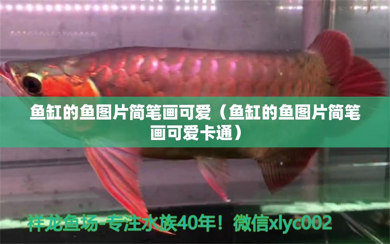 魚缸的魚圖片簡筆畫可愛（魚缸的魚圖片簡筆畫可愛卡通） 大白鯊魚苗