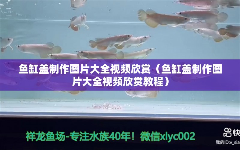 魚缸蓋制作圖片大全視頻欣賞（魚缸蓋制作圖片大全視頻欣賞教程）