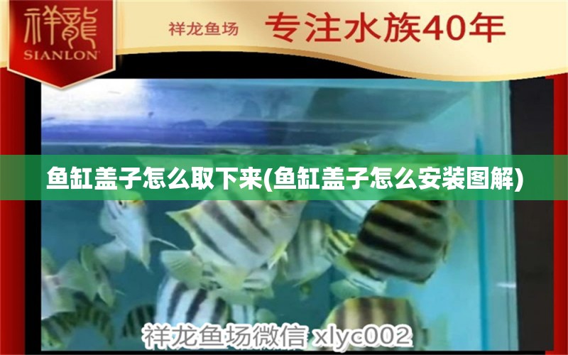 魚缸蓋子怎么取下來(魚缸蓋子怎么安裝圖解) 海水魚（海水魚批發(fā)）