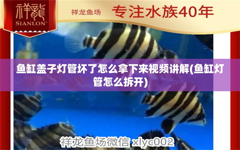 魚缸蓋子燈管壞了怎么拿下來視頻講解(魚缸燈管怎么拆開) 祥龍龍魚魚糧 第1張