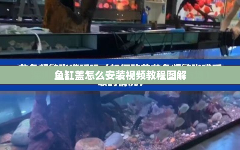 魚缸蓋怎么安裝視頻教程圖解 水族問答 第1張