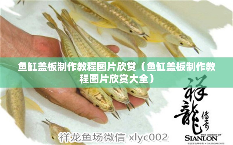 魚缸蓋板制作教程圖片欣賞（魚缸蓋板制作教程圖片欣賞大全）