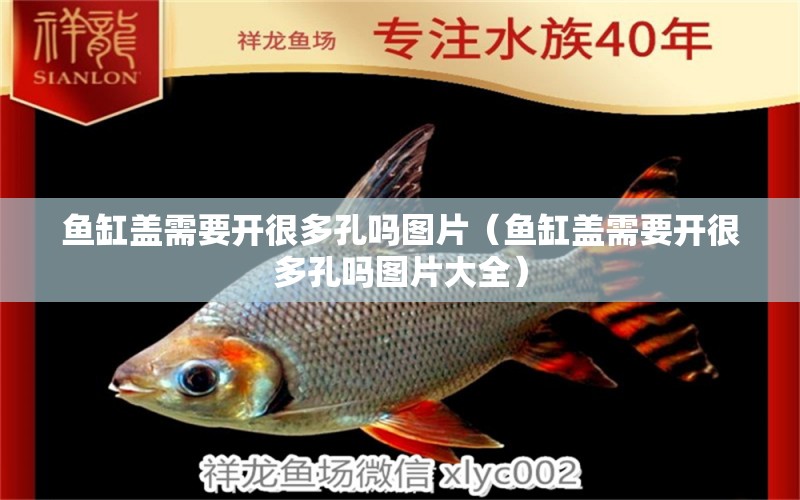 魚缸蓋需要開很多孔嗎圖片（魚缸蓋需要開很多孔嗎圖片大全） 祥龍水族醫(yī)院