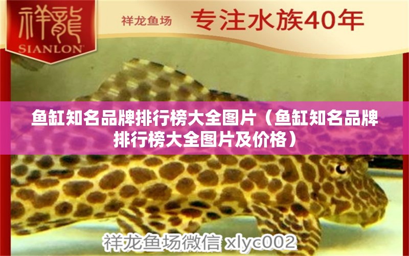 魚缸知名品牌排行榜大全圖片（魚缸知名品牌排行榜大全圖片及價格）