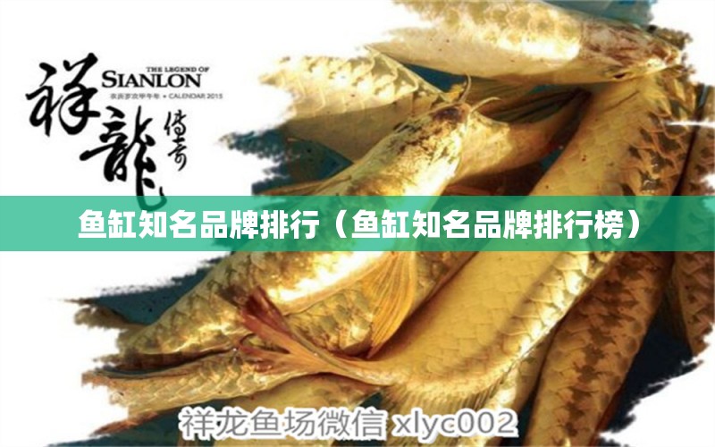 魚缸知名品牌排行（魚缸知名品牌排行榜） 祥龍魚場(chǎng)