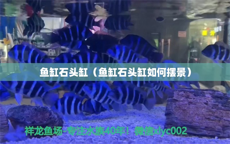 魚缸石頭缸（魚缸石頭缸如何擺景）