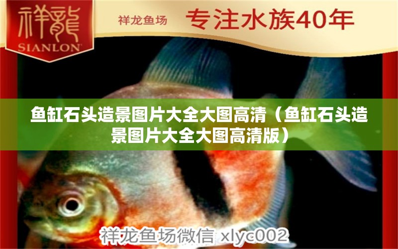 魚缸石頭造景圖片大全大圖高清（魚缸石頭造景圖片大全大圖高清版）