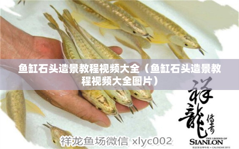 魚缸石頭造景教程視頻大全（魚缸石頭造景教程視頻大全圖片）